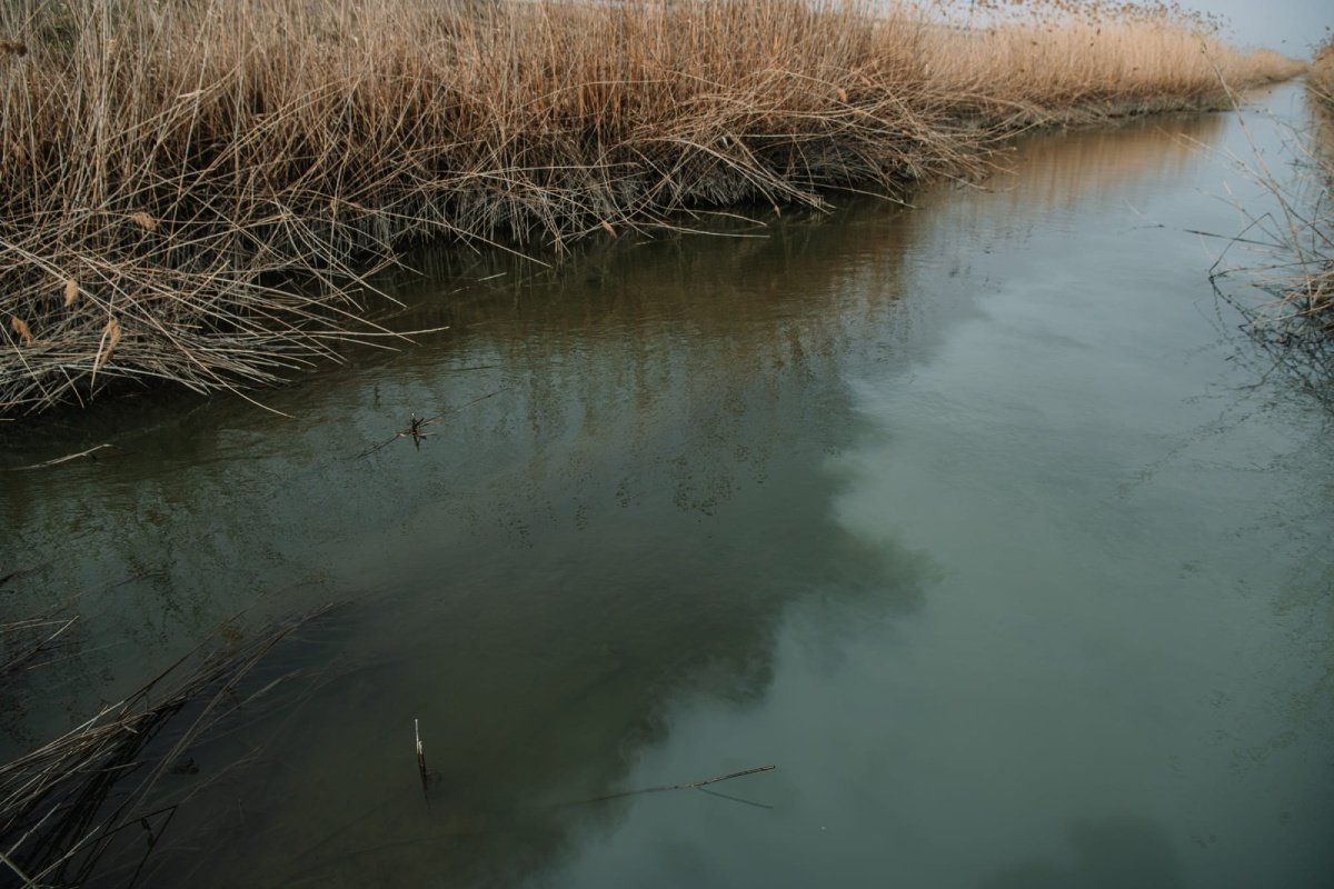 Сброс с очистительных сооружений. Фото: «Смола»