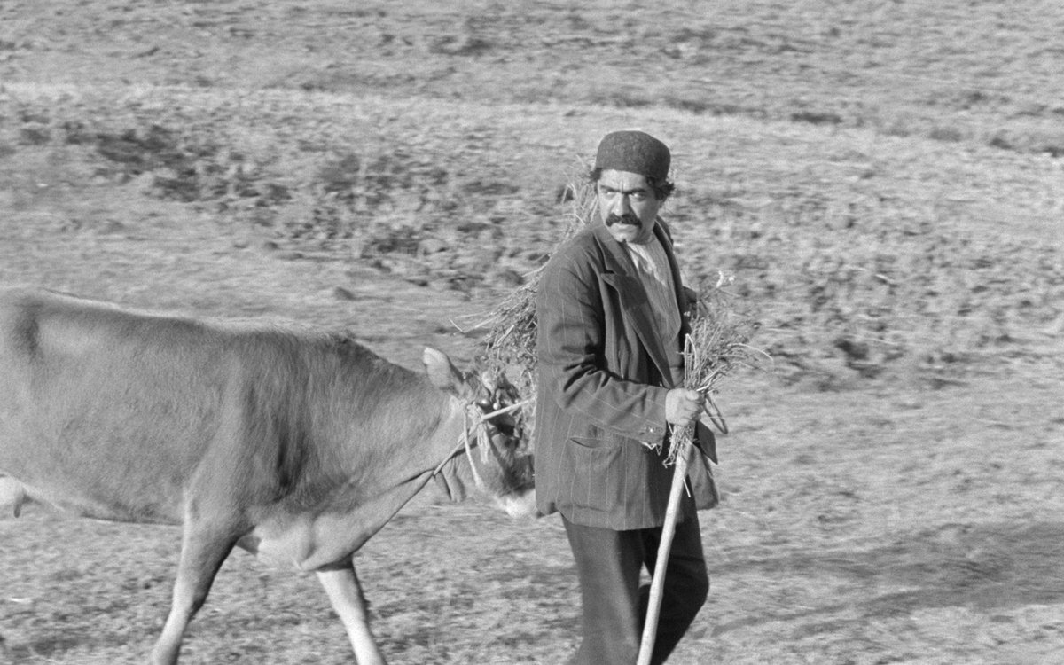 Кадр из фильма «Корова» Дарьюша Мехрджуи, 1968 год. Фото: Photo 12 / Alamy / Vida Press