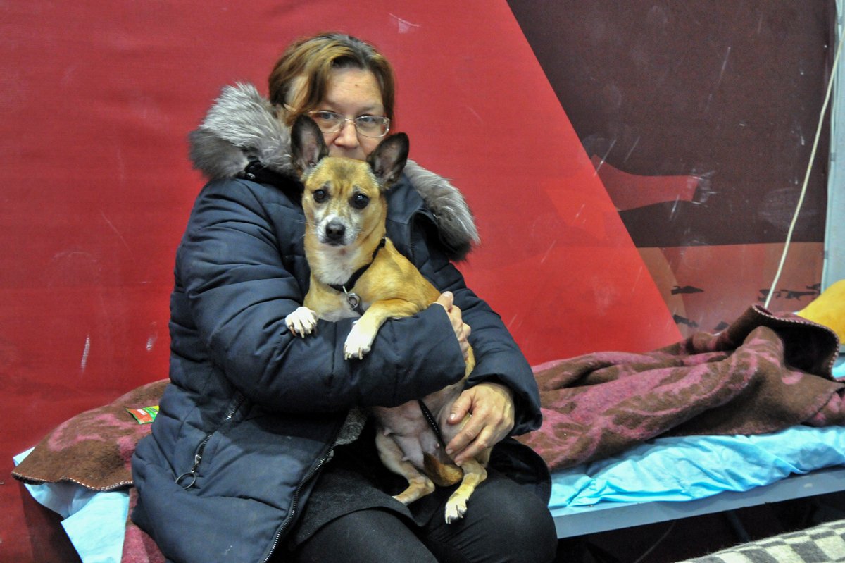 Женщина с собакой в пункте временного размещения беженцев из Мариуполя в Таганроге, Ростовская область, 22 апреля 2022 года. Фото: Аркадий Будницкий / EPA-EFE