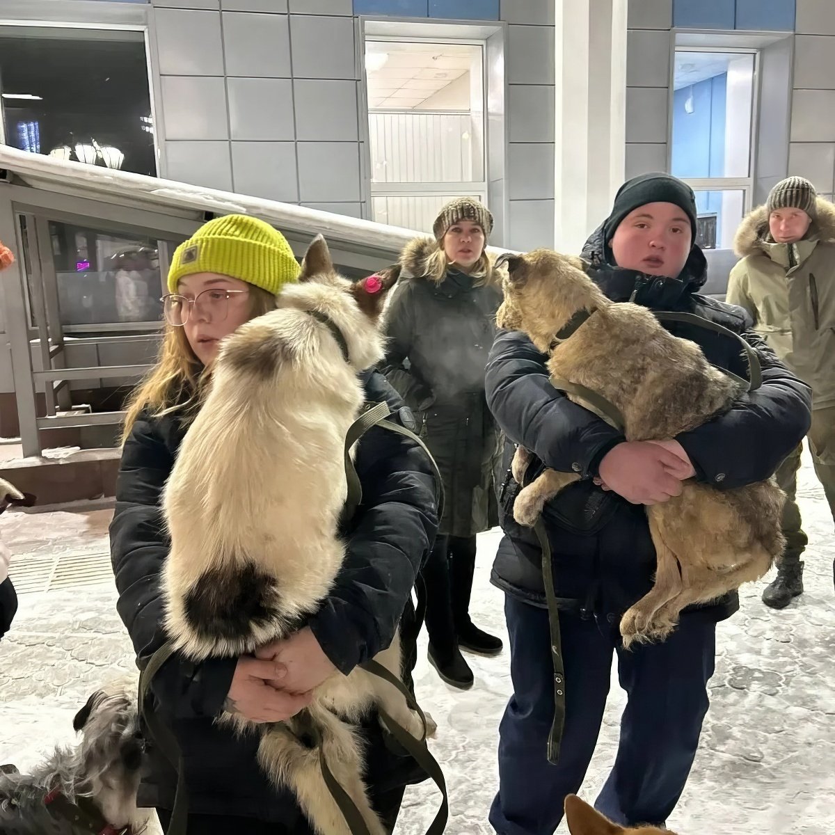 Волотнеры фонда «Собака счастья». Фото: VK